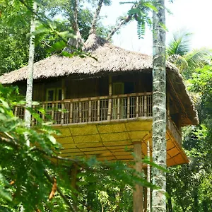 Kalidasa Tree House And Villa, Wayanad Villa Chegāt